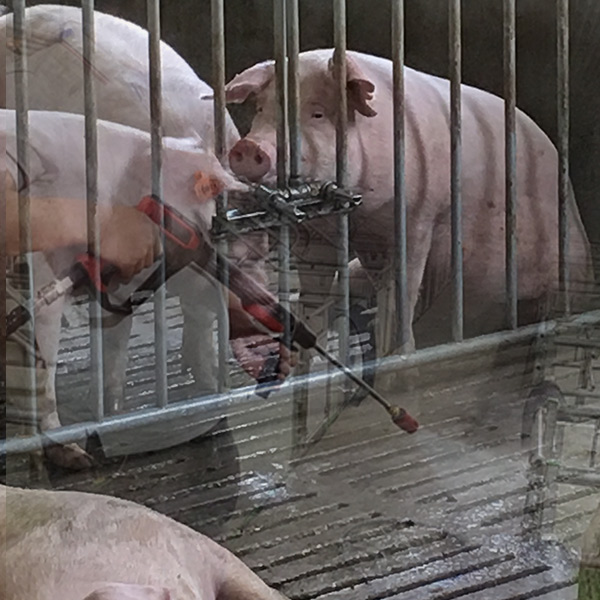 高壓清洗的作用是什么？