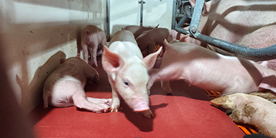 車輛洗消中心設(shè)計要求（規(guī)劃要求）？